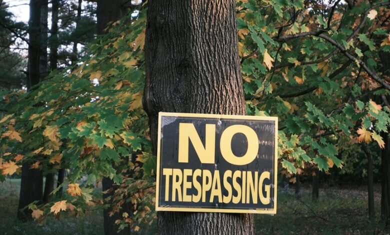 data protection council numbers